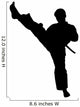 Martial Arts High Kickvector
