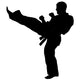 MARTIAL ARTS High Kickvector Wall Decal