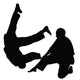 Martial Arts Jiu Jitsu