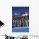 Chugach Mountains Anchorage Southcentral Alaska Winter Scenic Wall Mural