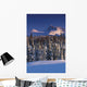 Chugach Mountains Anchorage Southcentral Alaska Winter Scenic Wall Mural