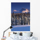 Chugach Mountains Anchorage Southcentral Alaska Winter Scenic Wall Mural