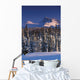 Chugach Mountains Anchorage Southcentral Alaska Winter Scenic Wall Mural
