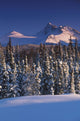 Chugach Mountains Anchorage Southcentral Alaska Winter Scenic Wall Mural