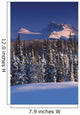 Chugach Mountains Anchorage Southcentral Alaska Winter Scenic Wall Mural