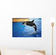 Orca Whale