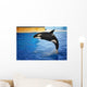 Orca Whale