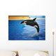 Orca Whale