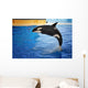 Orca Whale