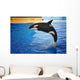 Orca Whale
