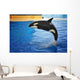 Orca Whale