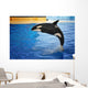 Orca Whale