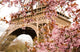 Bloomy Cherry Tree and the Eiffel Tower Wall Mural