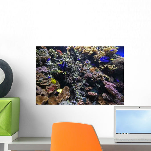 Coral Reef Wall Decal Design 2
