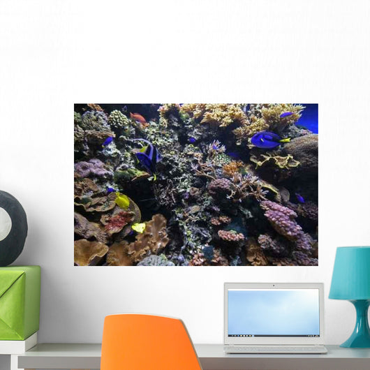 Coral Reef Wall Decal Design 2
