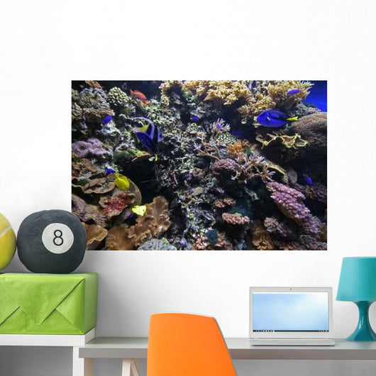 Coral Reef Wall Decal Design 2