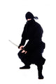 ninja Wall Decal