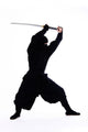 ninja Wall Decal