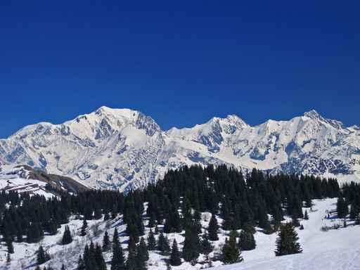 Mont Blanc Wall Decal