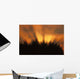 Sunrise Fog Trees Tongass Natl Forest Juneau Southeast Alaska Orange Wall Mural