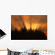 Sunrise Fog Trees Tongass Natl Forest Juneau Southeast Alaska Orange Wall Mural
