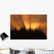 Sunrise Fog Trees Tongass Natl Forest Juneau Southeast Alaska Orange Wall Mural