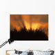Sunrise Fog Trees Tongass Natl Forest Juneau Southeast Alaska Orange Wall Mural