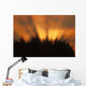 Sunrise Fog Trees Tongass Natl Forest Juneau Southeast Alaska Orange Wall Mural