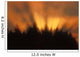 Sunrise Fog Trees Tongass Natl Forest Juneau Southeast Alaska Orange Wall Mural