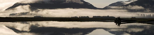 Fog And Mist Hang Over Mendenhall Wetlands & Mendenhall River Wall Mural