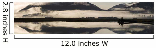 Fog And Mist Hang Over Mendenhall Wetlands & Mendenhall River Wall Mural
