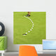 Golfing Ball Trajectory Wall Mural