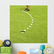 Golfing Ball Trajectory Wall Mural