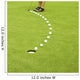 Golfing Ball Trajectory Wall Mural