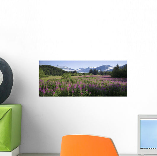 Field Of Fireweed With Coast Mountains And Mendenall Glacier Wall Mural
