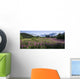 Field Of Fireweed With Coast Mountains And Mendenall Glacier Wall Mural
