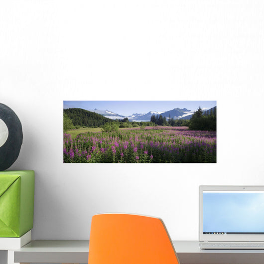 Field Of Fireweed With Coast Mountains And Mendenall Glacier Wall Mural