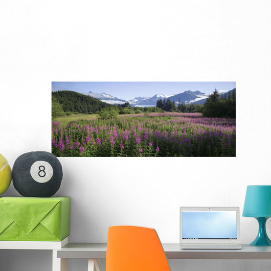Field Of Fireweed With Coast Mountains And Mendenall Glacier Wall Mural
