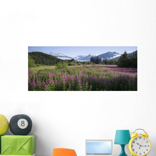Field Of Fireweed With Coast Mountains And Mendenall Glacier Wall Mural