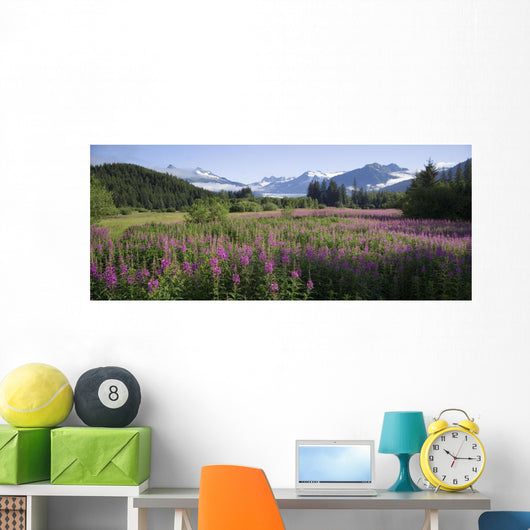 Field Of Fireweed With Coast Mountains And Mendenall Glacier Wall Mural