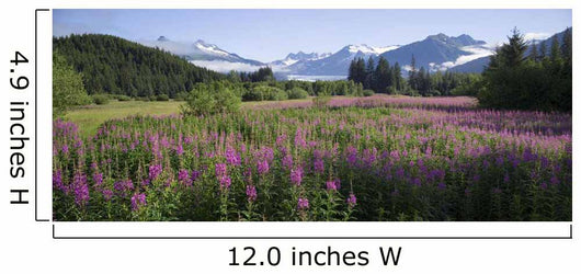 Field Of Fireweed With Coast Mountains And Mendenall Glacier Wall Mural