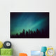 Northern Lights Over Black Spruce Forest During Winter Wall Mural