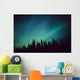 Northern Lights Over Black Spruce Forest During Winter Wall Mural