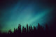 Northern Lights Over Black Spruce Forest During Winter Wall Mural