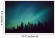 Northern Lights Over Black Spruce Forest During Winter Wall Mural