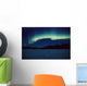 Northern Lights Over Black Spruce Forest During Winter Wall Mural
