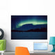 Northern Lights Over Black Spruce Forest During Winter Wall Mural