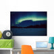 Northern Lights Over Black Spruce Forest During Winter Wall Mural