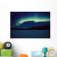 Northern Lights Over Black Spruce Forest During Winter Wall Mural