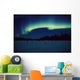 Northern Lights Over Black Spruce Forest During Winter Wall Mural